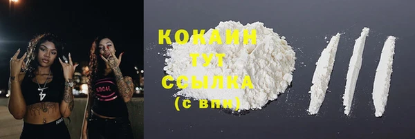 гашик Мегион