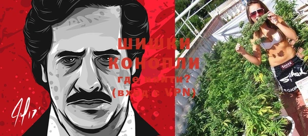 гашик Мегион