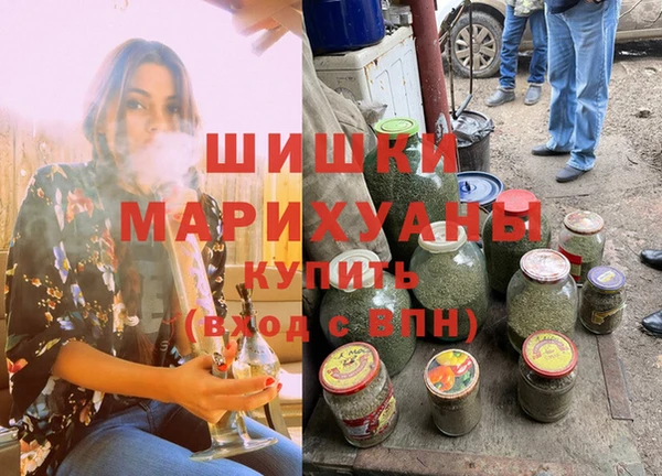 шишки Магадан