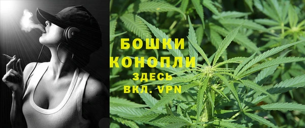 шишки Магадан