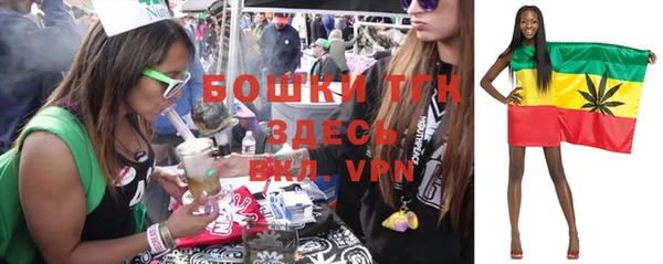 гашик Мегион