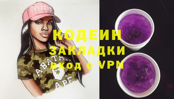 гашик Мегион