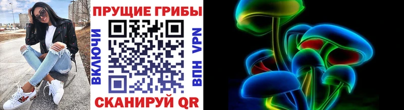 Купить где  Задонск  Галлюциногенные грибы мицелий 